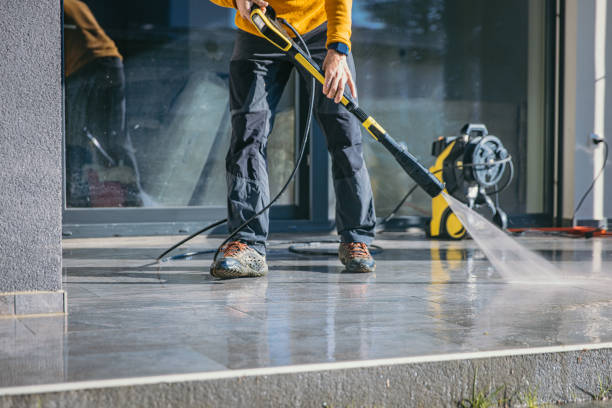 Best Roof Washing  in Roseville, MN